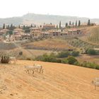 © Abati_Toscana, Siena, Monticchiello. Abitare