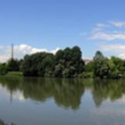 Il Po nella Riserva Naturale del Meisino a Torino - Foto di Marco Borrelli 