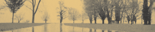 Image Gallery